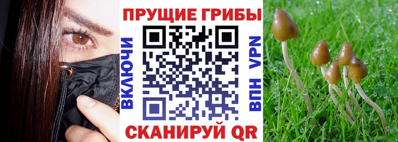 сколько стоит  Долинск  Галлюциногенные грибы ЛСД 